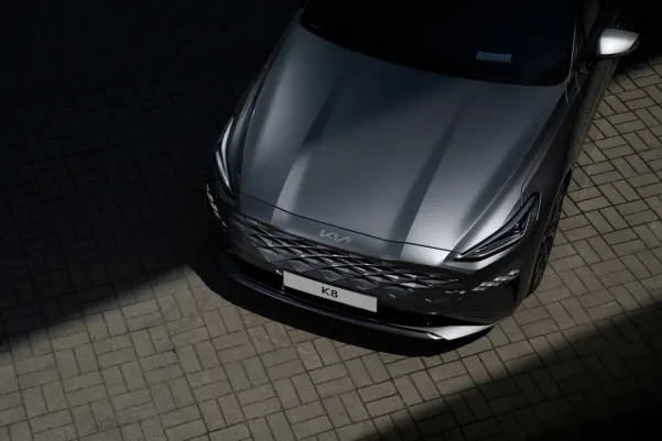 БингоБили Казино Android/iOS приложение